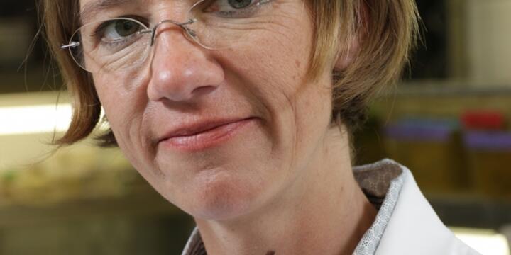 Media Name: keiser_jennifer_print.jpg